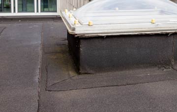 disadvantages of Riverside Docklands flat roofs