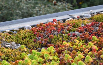 the cost of Riverside Docklands green roof installation