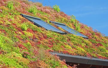 Riverside Docklands living roof systems