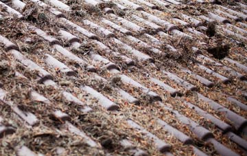 Riverside Docklands roof cleaning companies