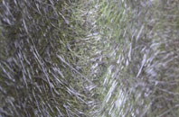 Riverside Docklands fibreglass roof work